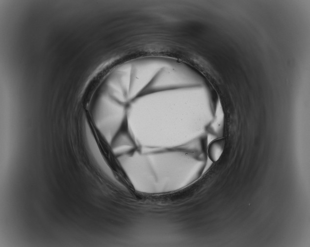 X0000082960727200703020212