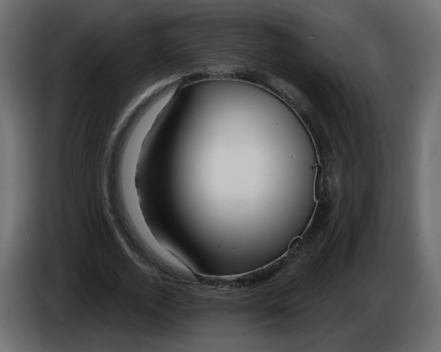 X0000082960728200703020212