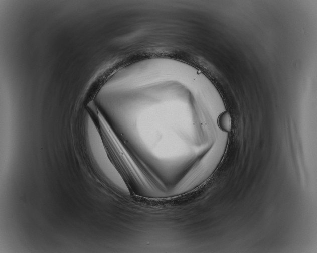 X0000082960731200703020212