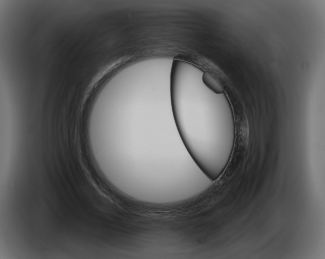 X0000082960732200703020212