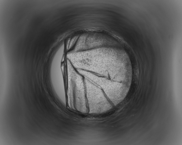 X0000082960734200703020212