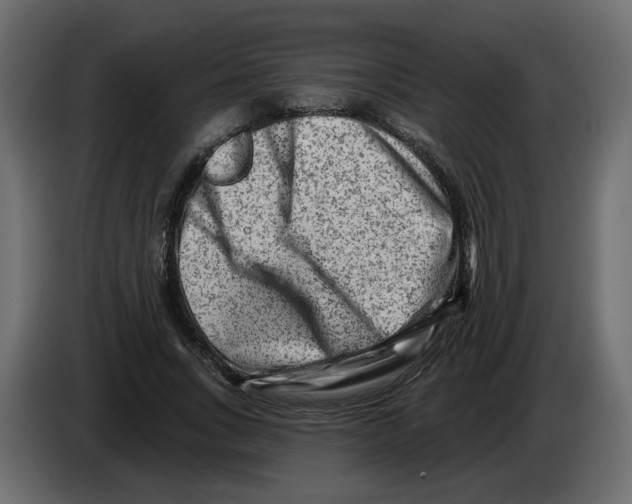 X0000082960735200703020212