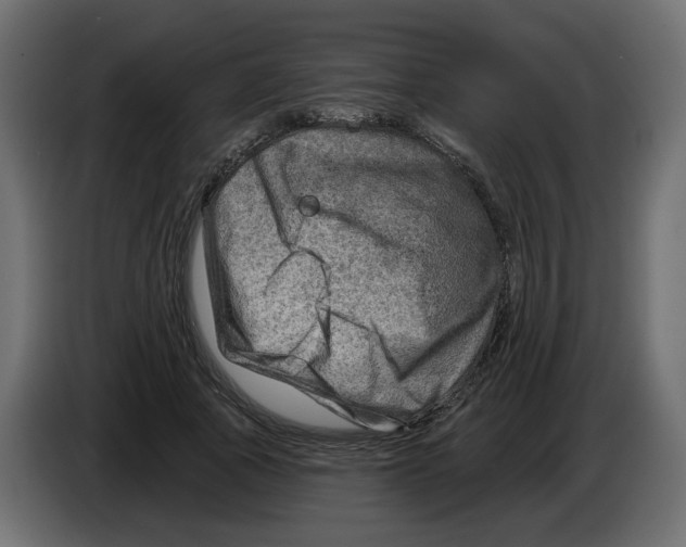 X0000082960737200703020212