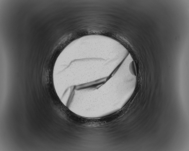 X0000082960738200703020212