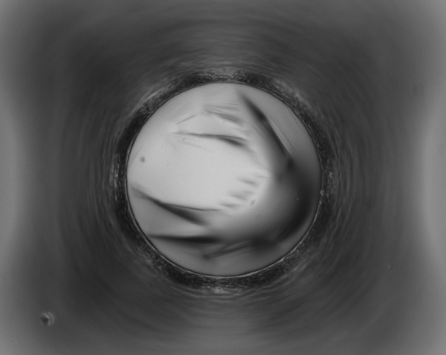 X0000082960739200703020212