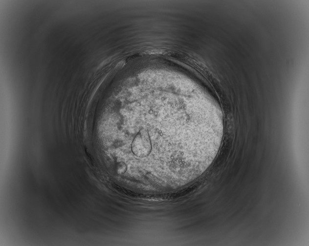 X0000082960741200703020212