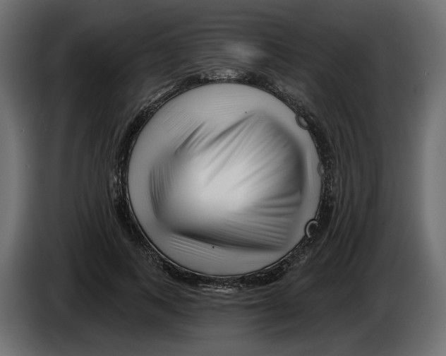 X0000082960743200703020212