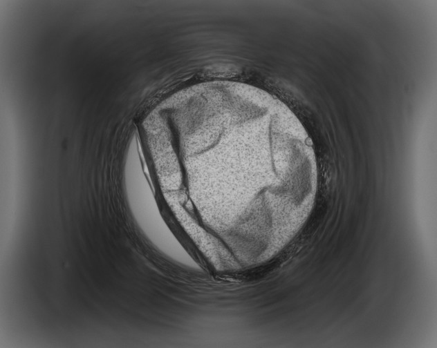 X0000082960745200703020212