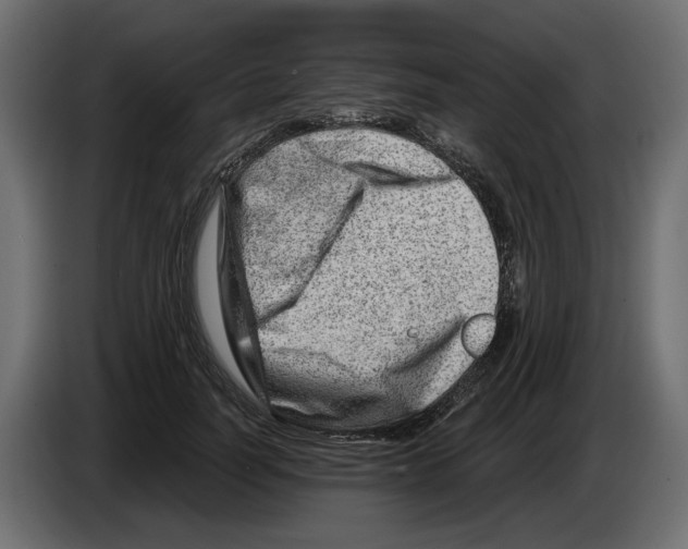 X0000082960746200703020212