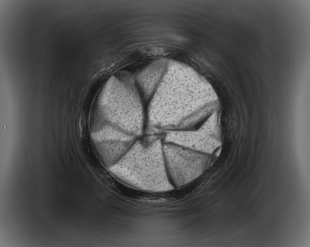 X0000082960747200703020212