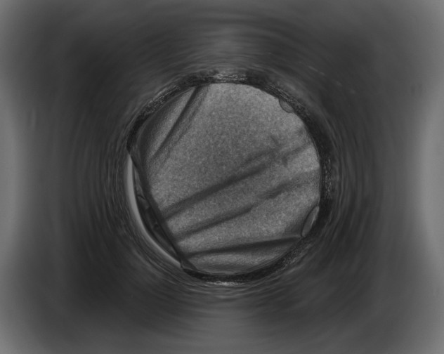 X0000082960748200703020212