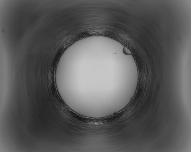 X0000082960749200703020212