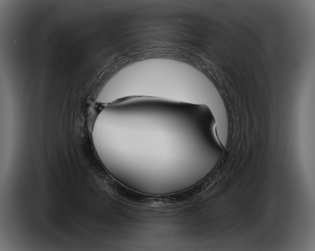 X0000082960750200703020212