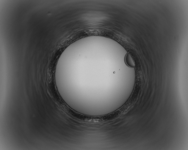 X0000082960751200703020212