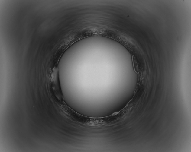 X0000082960752200703020212