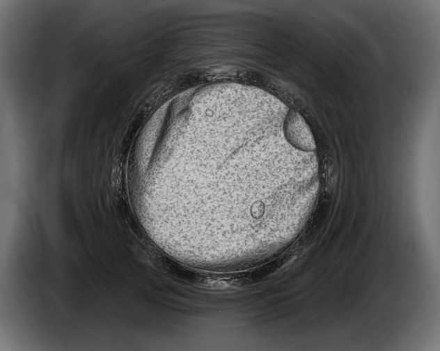 X0000082960753200703020212