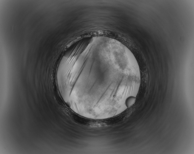 X0000082960754200703020212