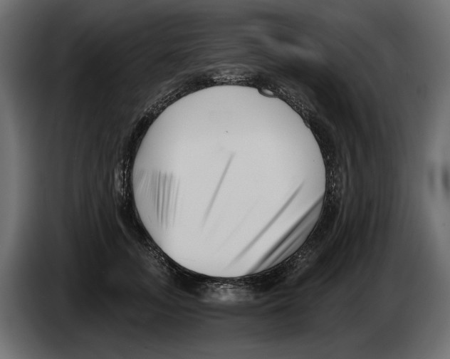 X0000082960755200703020212