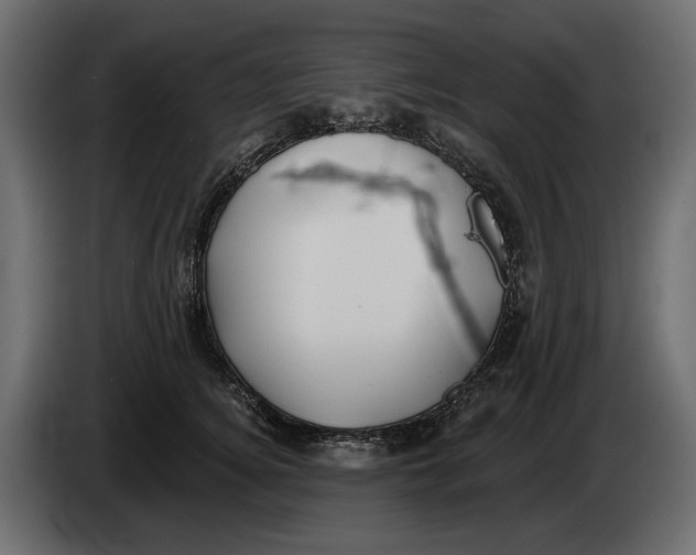 X0000082960756200703020212