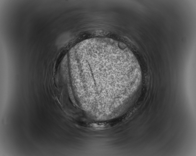 X0000082960757200703020212