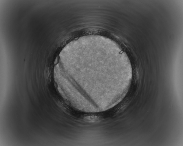 X0000082960759200703020212