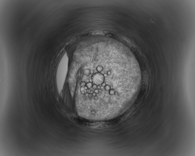 X0000082960761200703020212