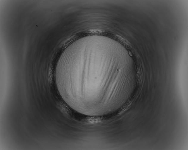 X0000082960762200703020212