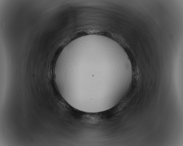 X0000082960763200703020212