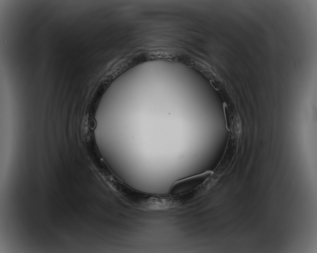 X0000082960764200703020212