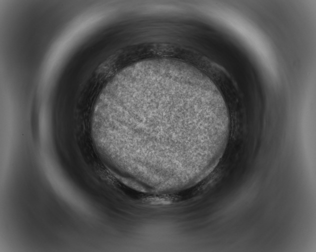 X0000082960765200703020212