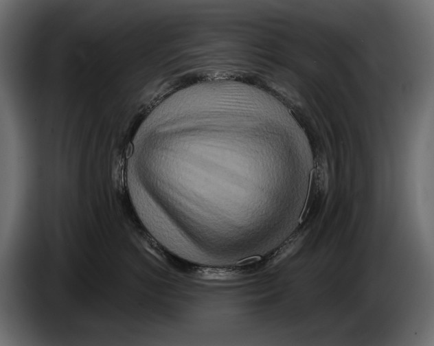 X0000082960766200703020212