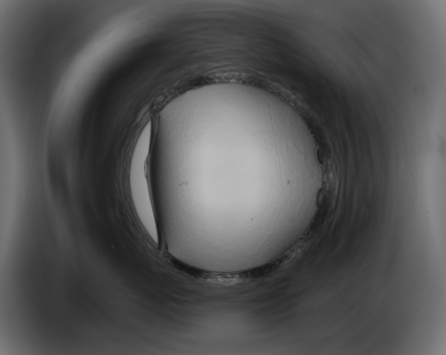 X0000082960767200703020212