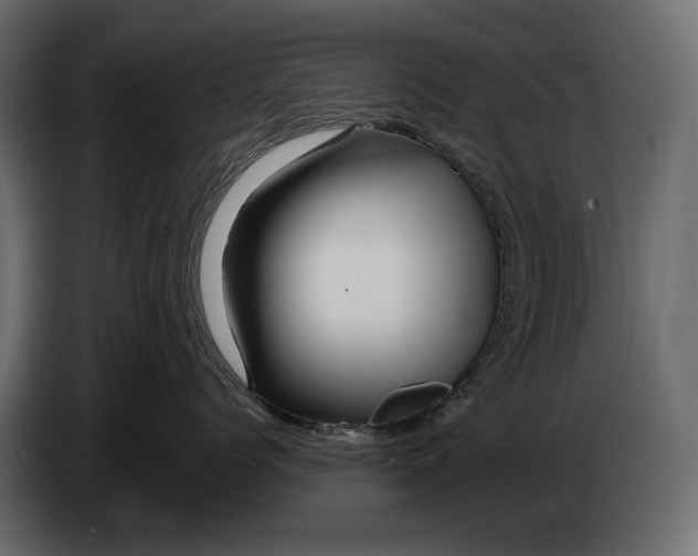 X0000082960768200703020212