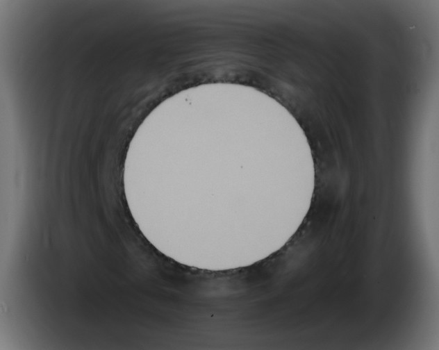 X0000082960769200703020211