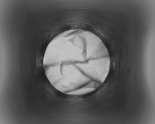 X0000082960770200703020211