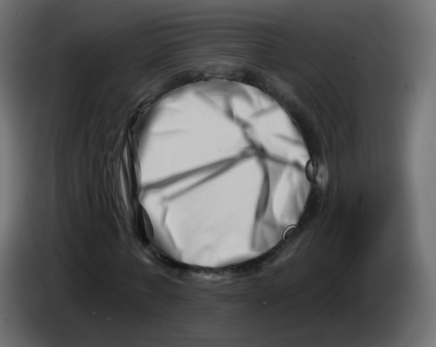 X0000082960771200703020211