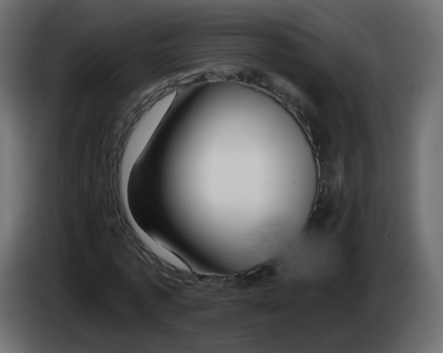 X0000082960773200703020211