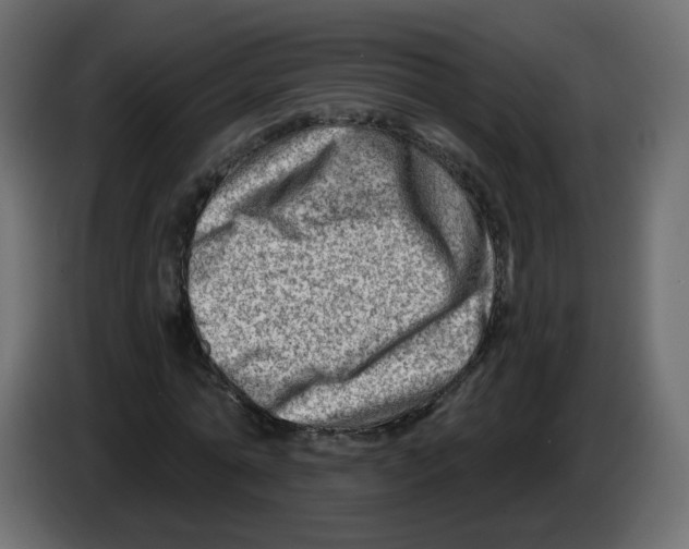 X0000082960774200703020211