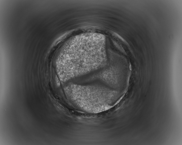 X0000082960775200703020211