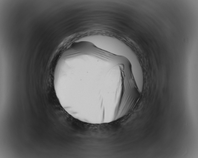 X0000082960776200703020211