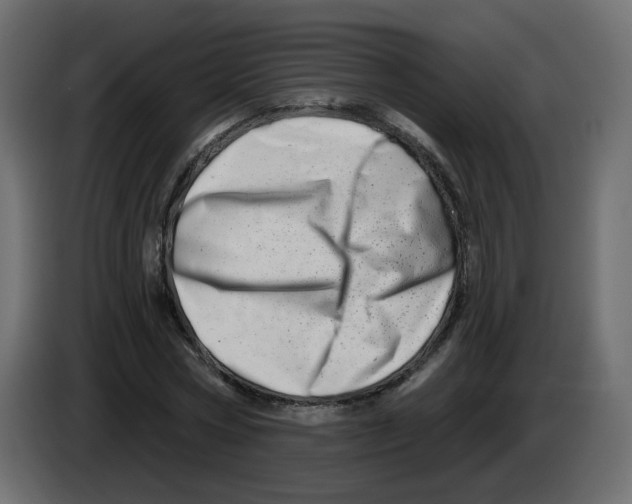 X0000082960778200703020211