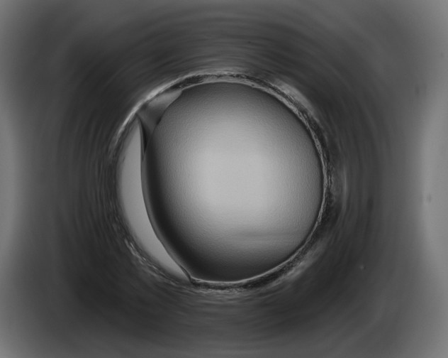 X0000082960781200703020211