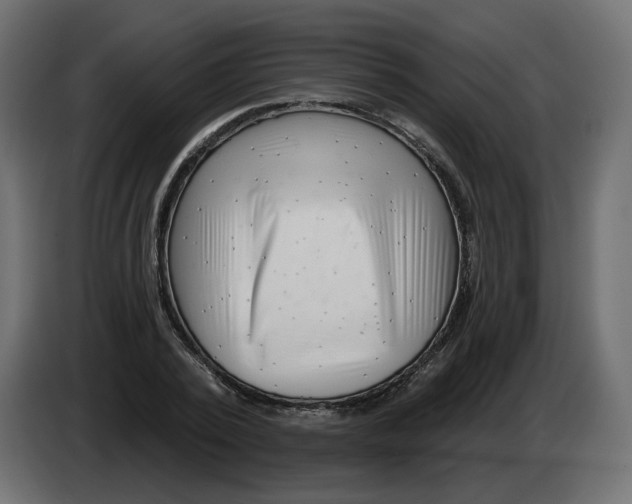 X0000082960784200703020211