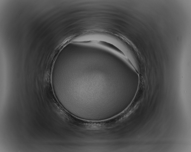 X0000082960785200703020211