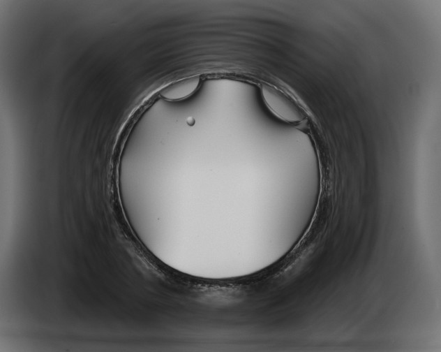 X0000082960786200703020211