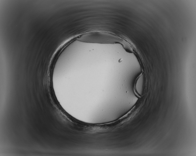 X0000082960787200703020211