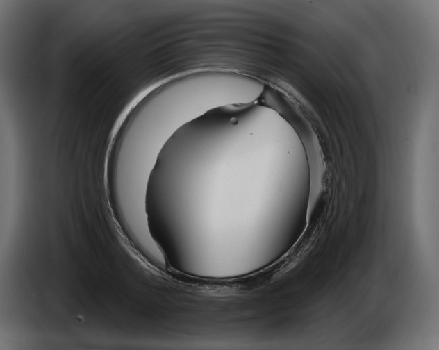 X0000082960788200703020211