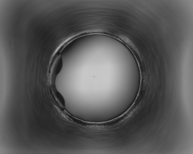 X0000082960789200703020211