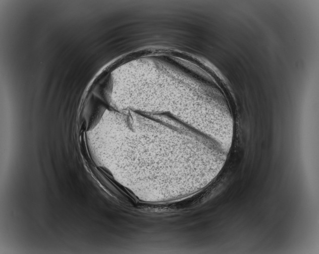 X0000082960791200703020211