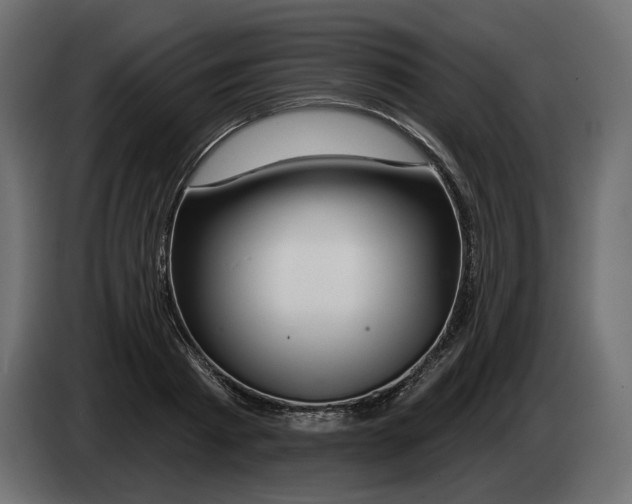 X0000082960793200703020211